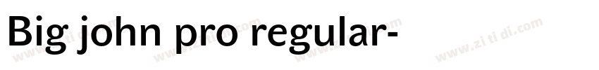 Big john pro regular字体转换
